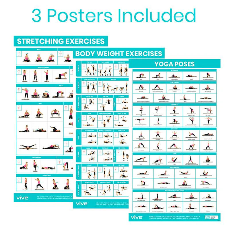 Vive No Equipment Required Poster 3-Pack