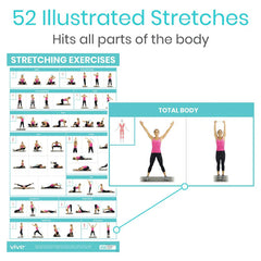 Vive Stretching Workout Poster