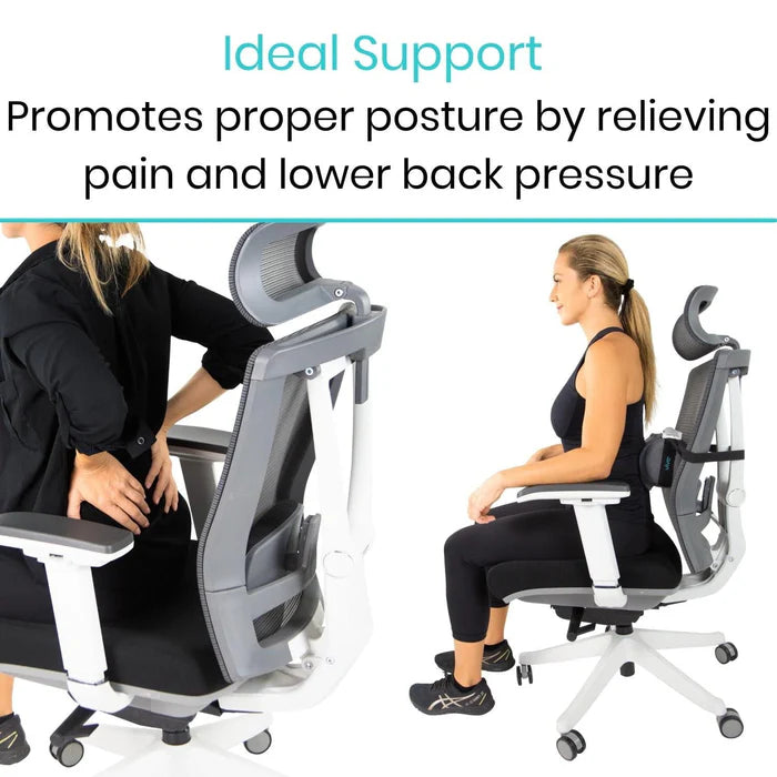 Vive Ice Lumbar Roll