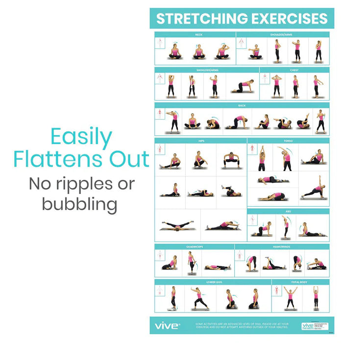 Vive Stretching Workout Poster