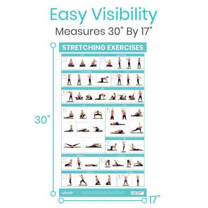 Vive Stretching Workout Poster