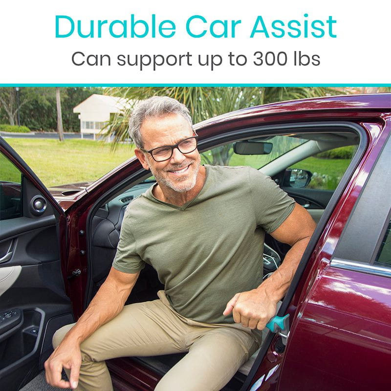 Vive Car Assist