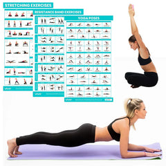 Vive Improved Flexibility Poster 3-Pack