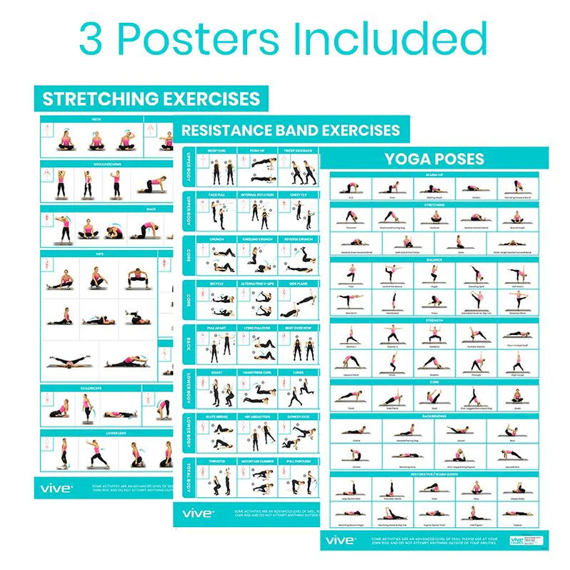 Vive Improved Flexibility Poster 3-Pack